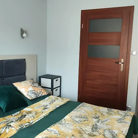 Meduza W Obiekcie Dominikana Sianożęty