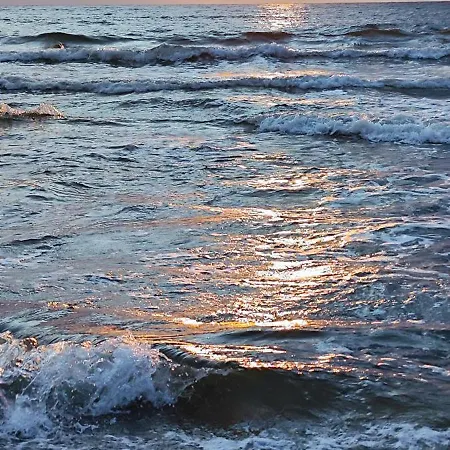 Meduza W Obiekcie Dominikana * Sianożęty