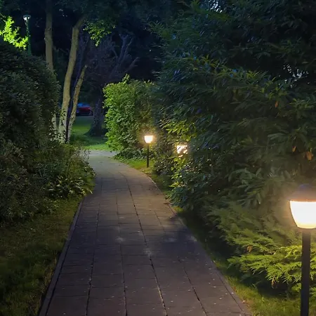 Meduza W Obiekcie Dominikana Sianozety